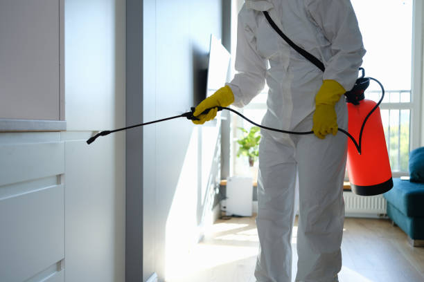 Chester, WV Mold Removal Company